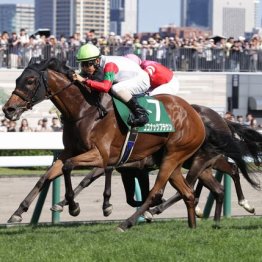 【クイーンＳ】昨年②着ココナッツブラウンが重賞初制覇