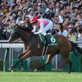 【アイビスＳＤ】ピューロマジックがコースレコードで連覇を達成