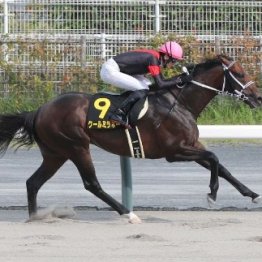 【名鉄杯】クールミラボー逃げ切り