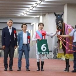 【アイビスサマーダッシュ】レース後の談話