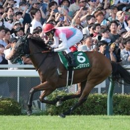 【アイビスサマーダッシュ】レコードで３馬身差！　ピューロマジック圧勝