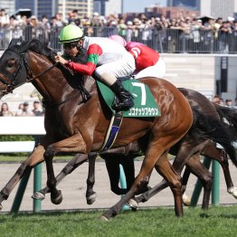 いよいよ札幌にも夏到来　そんな中、重鎮２人との会話で今の競馬に思うことが…
