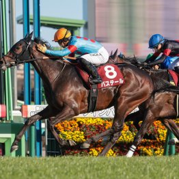 【佐渡Ｓ】３勝クラスとは思えないほどの豪華メンバー