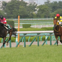【ＣＢＣ賞】データ作戦　５歳勢を狙い撃て！