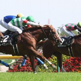 【大谷の土曜競馬コラム・関越Ｓ】