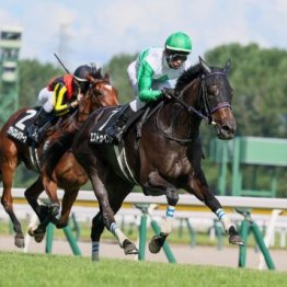 【武田の土曜競馬コラム・関越Ｓ】