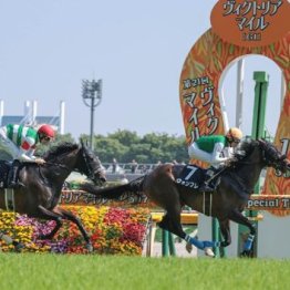 【橘の土曜競馬コラム・関越Ｓ】
