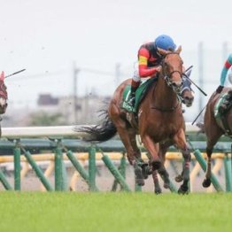 【東京本紙・外山の土曜新潟７Ｒ】