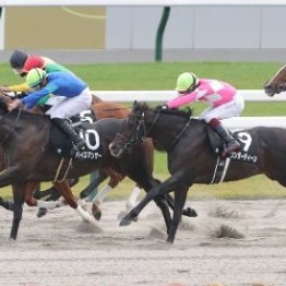 【武田の日曜競馬コラム・レパードＳ】