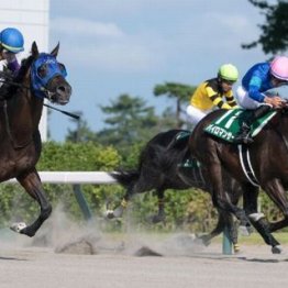 【レパードＳ】チェリヴェントが１勝クラス勝ちから連勝で重賞初Ｖ