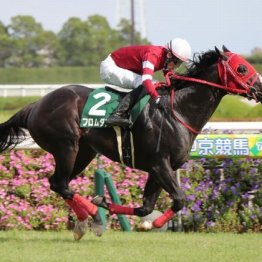 【ＣＢＣ賞】中井フロムダスクが人馬ともに重賞初制覇