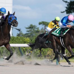 フロムダスクの重賞初制覇にブリンカー効果あり！？