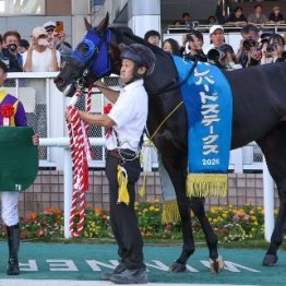 【レパードＳ】レース後の談話