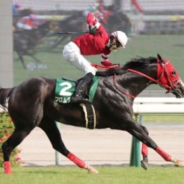 【ＣＢＣ賞】デビュー15年目の中井は重賞初制覇　フロムダスク大駆けの裏にあったもの