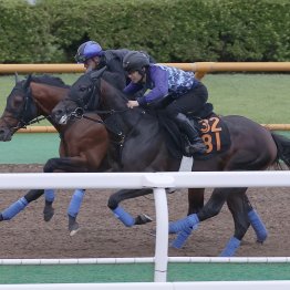 【札幌記念】ホウオウビスケッツ今年は異例の調整で挑んで急上昇