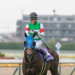 【ジャックルマロワ賞】６戦無敗馬の電撃引退で一気に混戦ムードに
