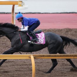 【中京記念】ナムラコスモス魅力たっぷり