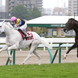 今年はGⅠ馬の参戦ゼロに　札幌記念はこの先どうなる！？