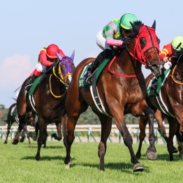 今年はGⅠ馬の参戦ゼロに　札幌記念はこの先どうなる！？