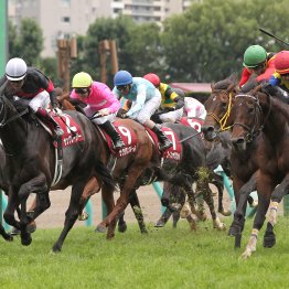 【札幌記念】データ作戦　１、２番人気が明暗を分ける！？