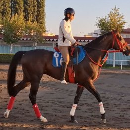 【札幌記念】喉手術でエコロヴァルツ重賞初Ｖだ