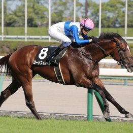 【新谷の土曜競馬コラム・阿賀野川特別】	