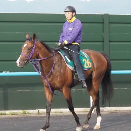 【木津の土曜競馬コラム・コスモス賞】	