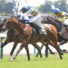 【橘の土曜競馬コラム・高山Ｓ】	