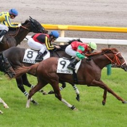 【飯島の日曜競馬コラム・新潟11Ｒ】