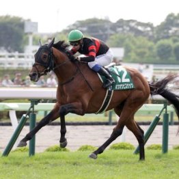 【大谷の日曜競馬コラム・札幌記念】