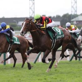 【武田の日曜競馬コラム・札幌記念】