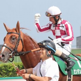 【橘の日曜競馬コラム・札幌記念】