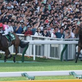 【東京本紙・外山の日曜新潟６Ｒ】