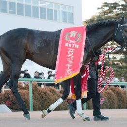 【札幌記念】ショウヘイ４歳世代の強さを証明する