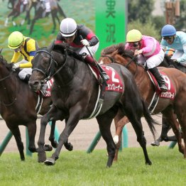 ２０１８年札幌記念覇者サングレーザー