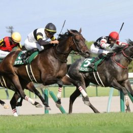 【中京記念】ラヴァンダがコースレコードで重賞２勝目