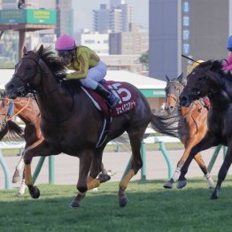 【札幌記念】シェイクユアハートが鮮やかに差し切ってレコードＶ