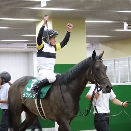 中京記念はシルバーステート産駒の殻を破ったラヴァンダがレコードＶ