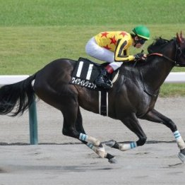 【ＮＳＴ賞】ワイワイレジェンド押し切る