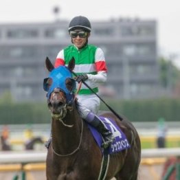 【ジャックルマロワ賞】シュトラウス⑨着、シックスペンス⑩着
