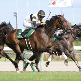 【中京記念】ラヴァンダ鮮やかな重賞２勝目も岐路に立つサマーシリーズ