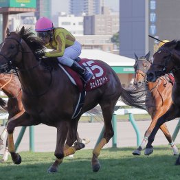 【札幌記念】レース後の談話（ネットオリジナルを含む）