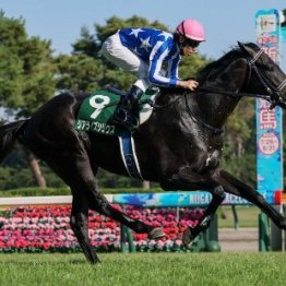 【新潟２歳Ｓ】インカルナータ、シャンデヴァーグなど好素材が揃う