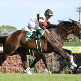 札幌記念以上に衝撃を受けた３歳２頭