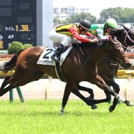 【新潟２歳Ｓ】シャンデヴァーグ初重賞取り