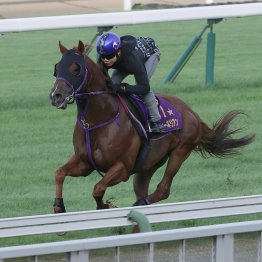 【キーンランドＣ】古豪ウインカーネリアン今年は初戦からＧＯの構え