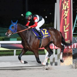田中博厩舎が海外ＧⅠに再びチャレンジ