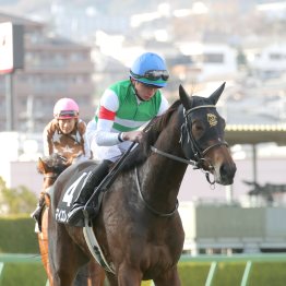 【田中の土曜競馬コラム・長岡Ｓ】