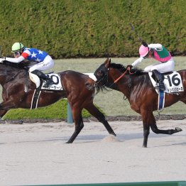 【藤岡の土曜競馬コラム・伊賀Ｓ】