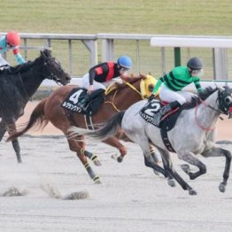 【飯島の土曜競馬コラム・伊賀Ｓ】